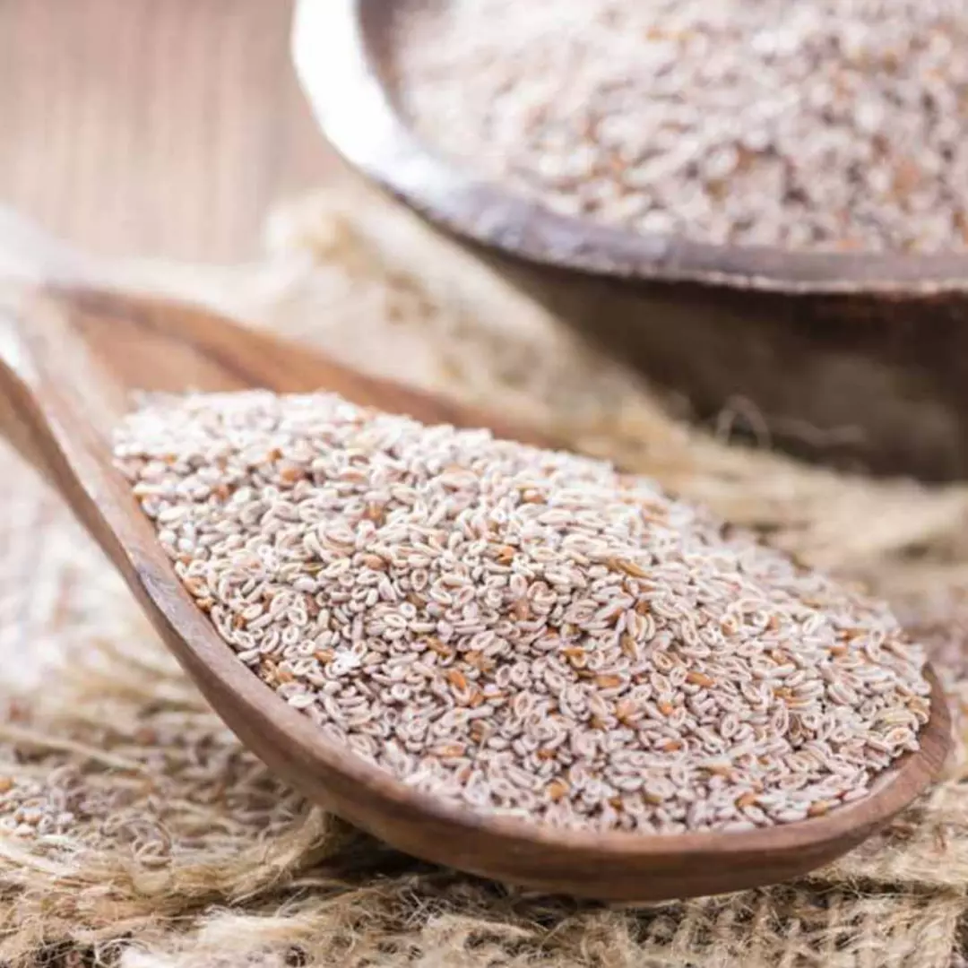 benefícios do psyllium