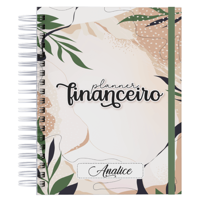 planner financeiro para imprimir grátis pdf