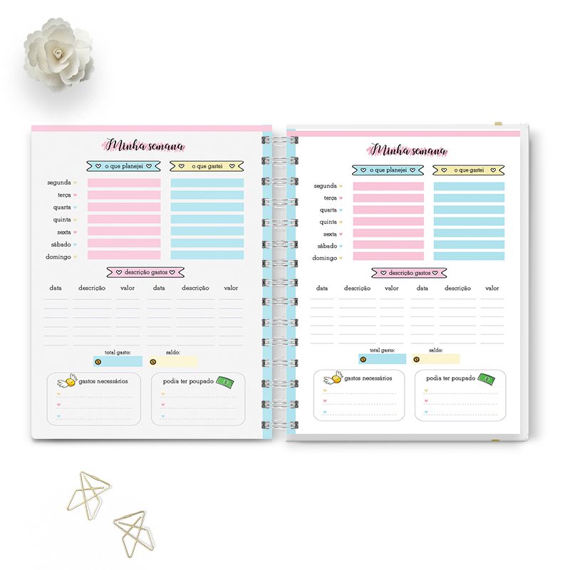 modelo de planner financeiro para baixar