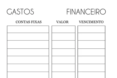 planner de gastos mensais para imprimir