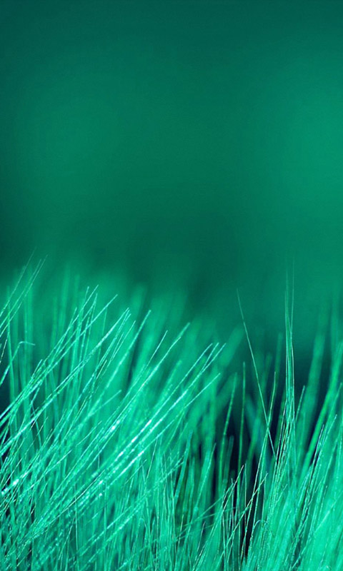 plano de fundo para celular