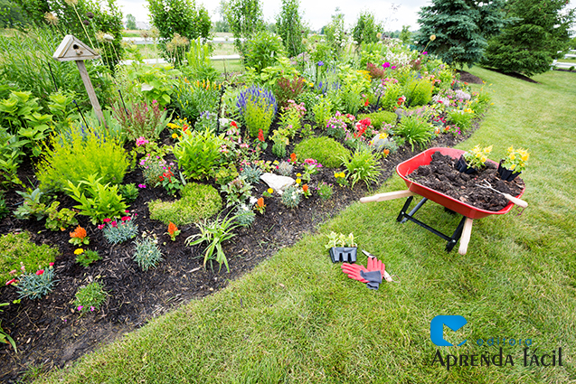 5 ideias de títulos:
1. As Melhores Plantas para Jardins com Sol Pleno: Guia Completo
2. Transforme seu Jardim: Plantas Ideais para Sombra e Meia-Sombra
3. Jardim dos Sonhos com Baixa Manutenção: Escolha as Plantas Certas
4. Guia Definitivo: Como Escolher Plantas Ornamentais para Cada Tipo de Luz
5. Plantas Resistentes ao Calor: Beleza e Durabilidade para o seu Jardim