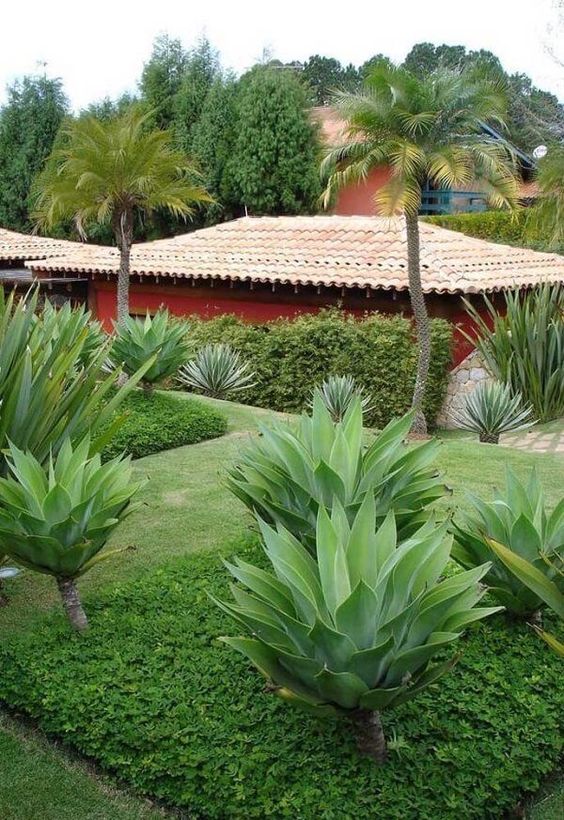 5 ideias de títulos:
1. As Melhores Plantas para Jardins com Sol Pleno: Guia Completo
2. Transforme seu Jardim: Plantas Ideais para Sombra e Meia-Sombra
3. Jardim dos Sonhos com Baixa Manutenção: Escolha as Plantas Certas
4. Guia Definitivo: Como Escolher Plantas Ornamentais para Cada Tipo de Luz
5. Plantas Resistentes ao Calor: Beleza e Durabilidade para o seu Jardim