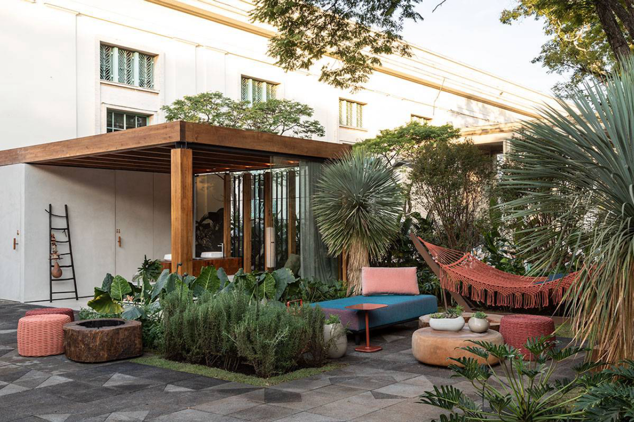 plantas ornamentais para jardim