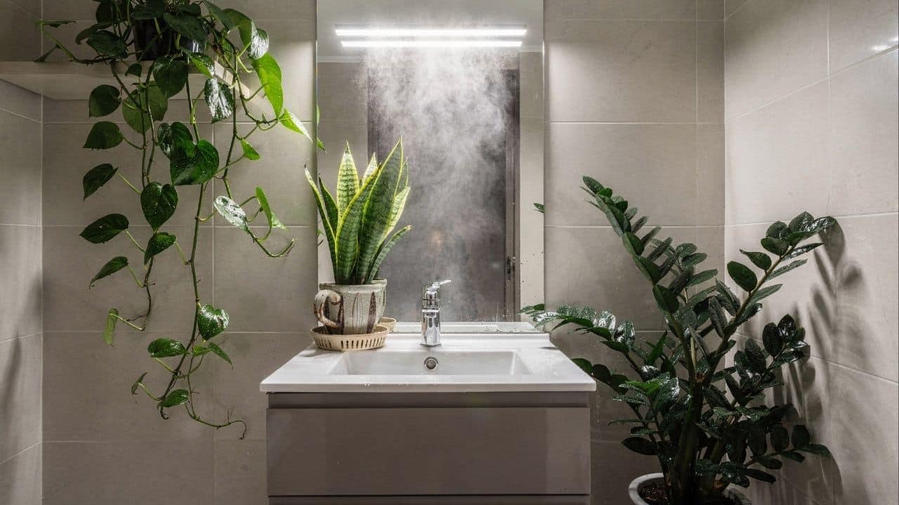 plantas para banheiro sem janela
