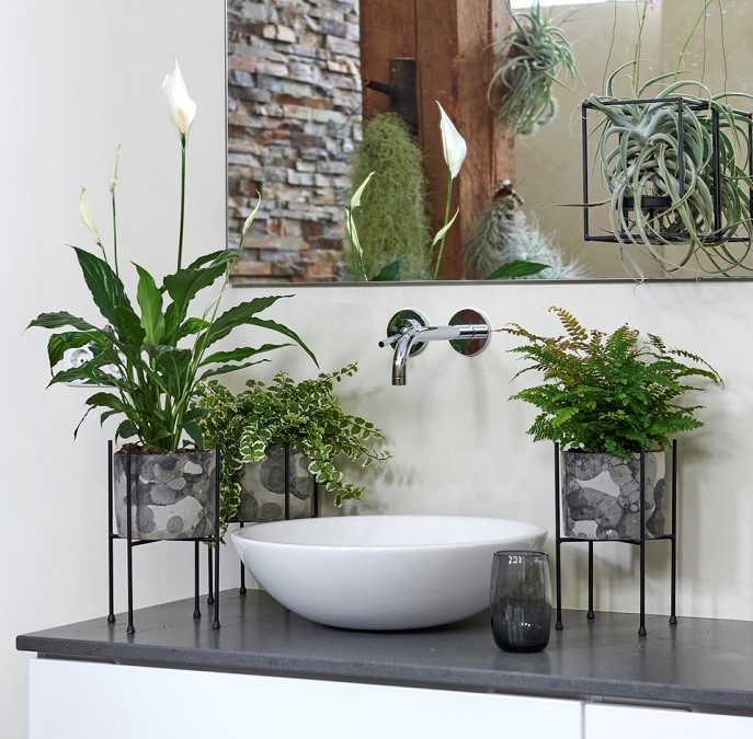 Como criar um sistema de iluminação artificial para plantas em ambientes internos