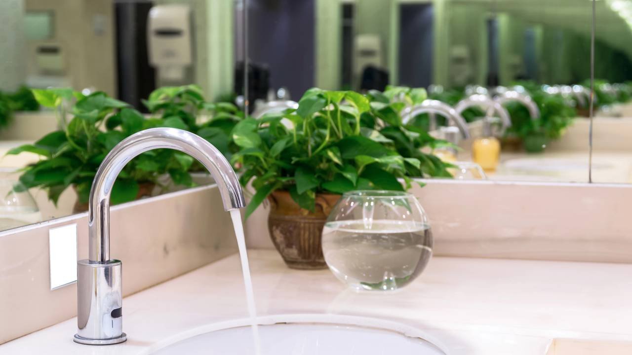 Guia completo de vasos autoirrigáveis para plantas de banheiro