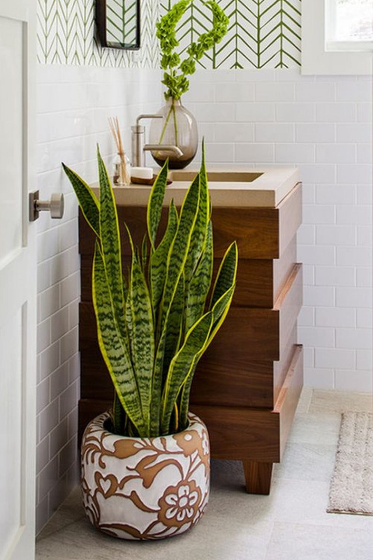 Os benefícios das plantas purificadoras de ar para a saúde do seu lar