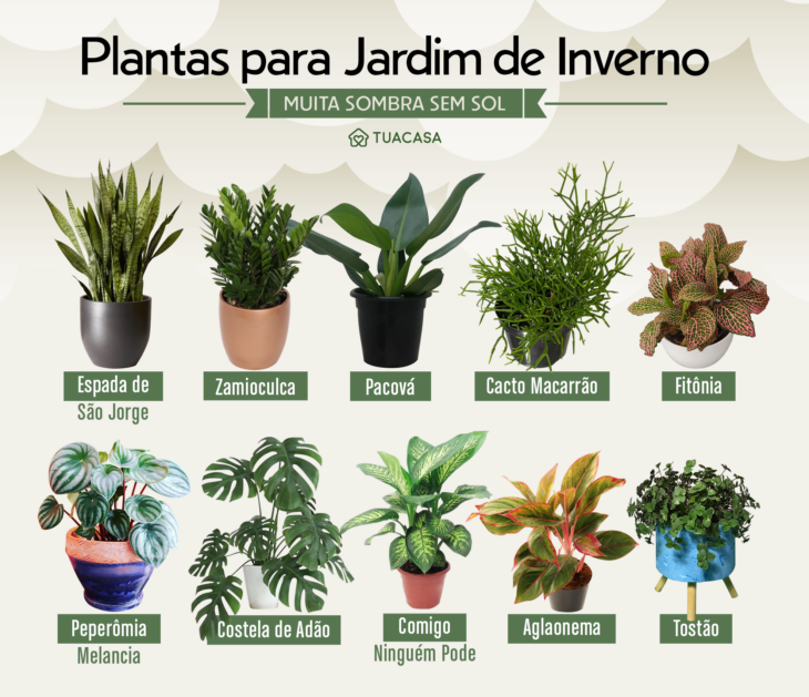 plantas para jardim de inverno com pouca manutencao