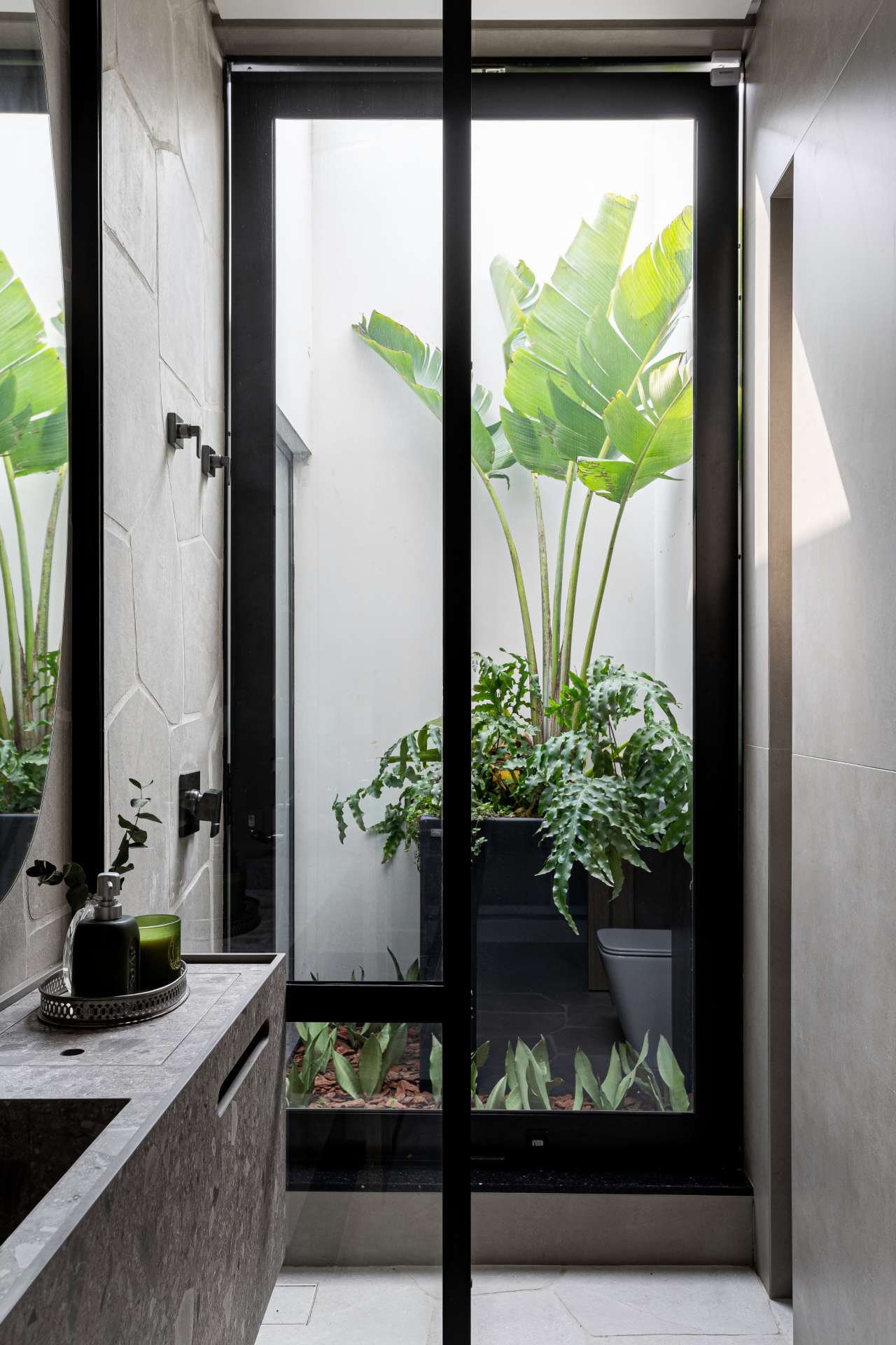 Top 5 Plantas Purificadoras de Ar para Ter em Casa
