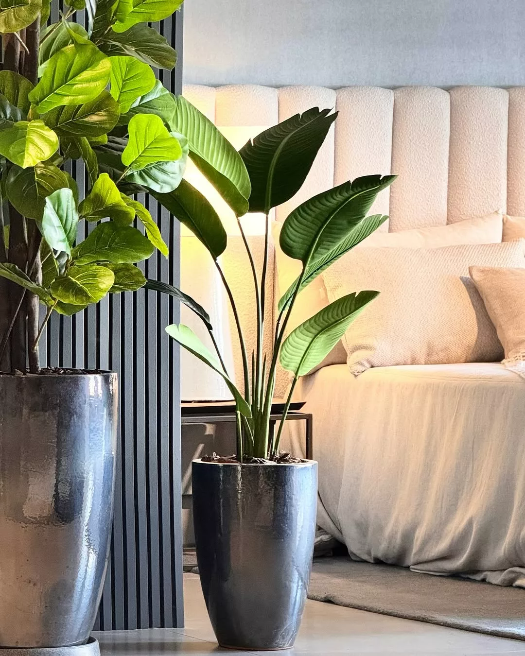 Como Escolher o Vaso Ideal para Cada Tipo de Planta na Sua Sala