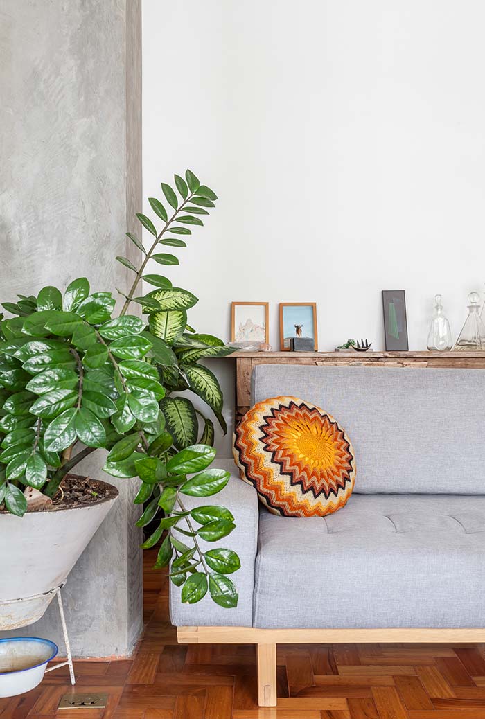 Como Escolher o Vaso Ideal para Cada Tipo de Planta na Sua Sala