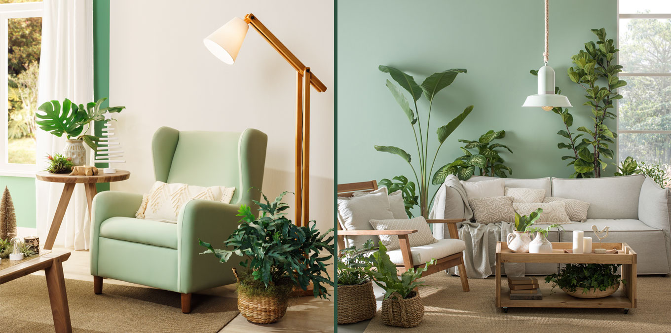 Guia Completo de Cuidados para Plantas de Baixa Manutenção