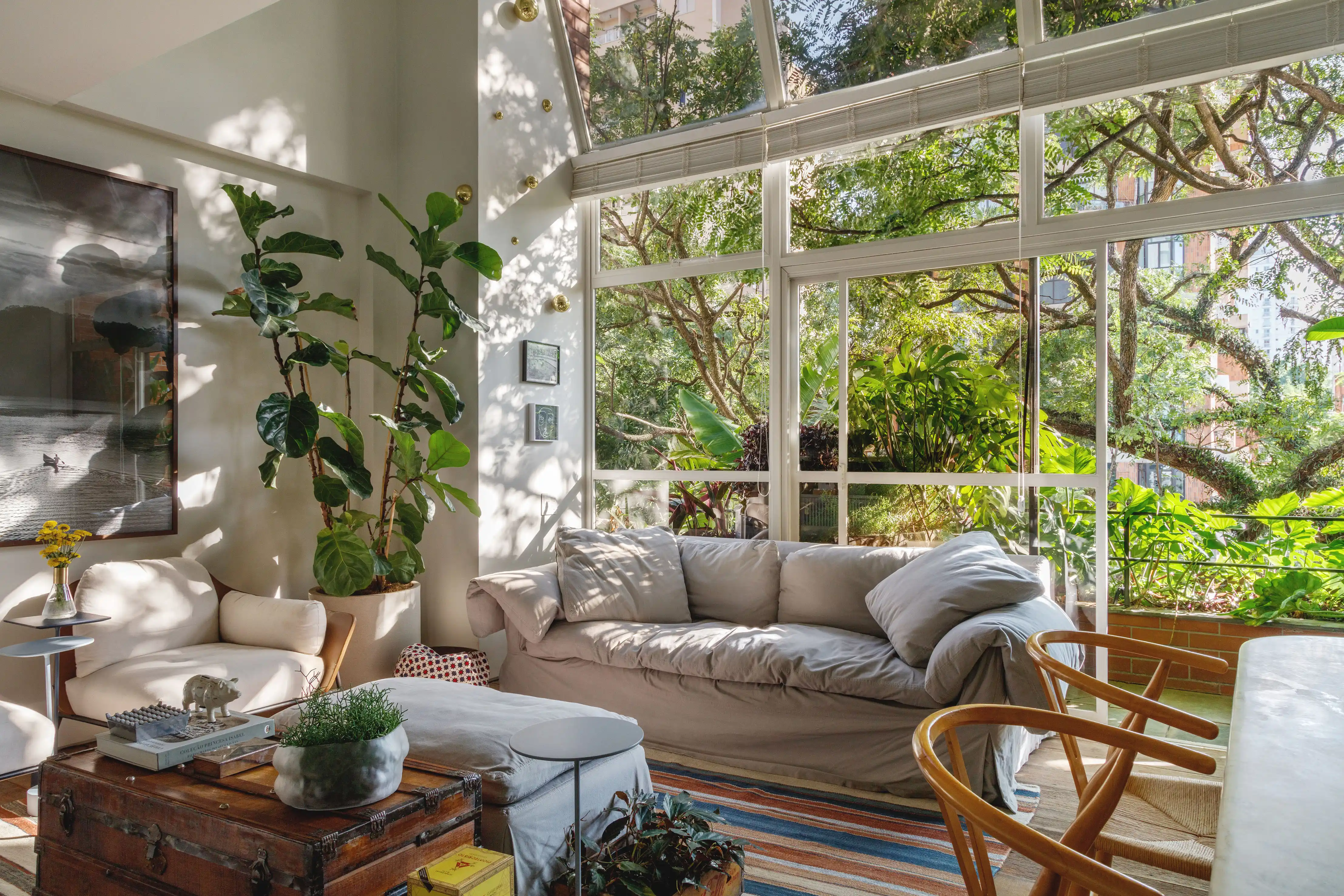 Plantas que Purificam o Ar: Benefícios e Melhores Espécies para Ambientes Internos