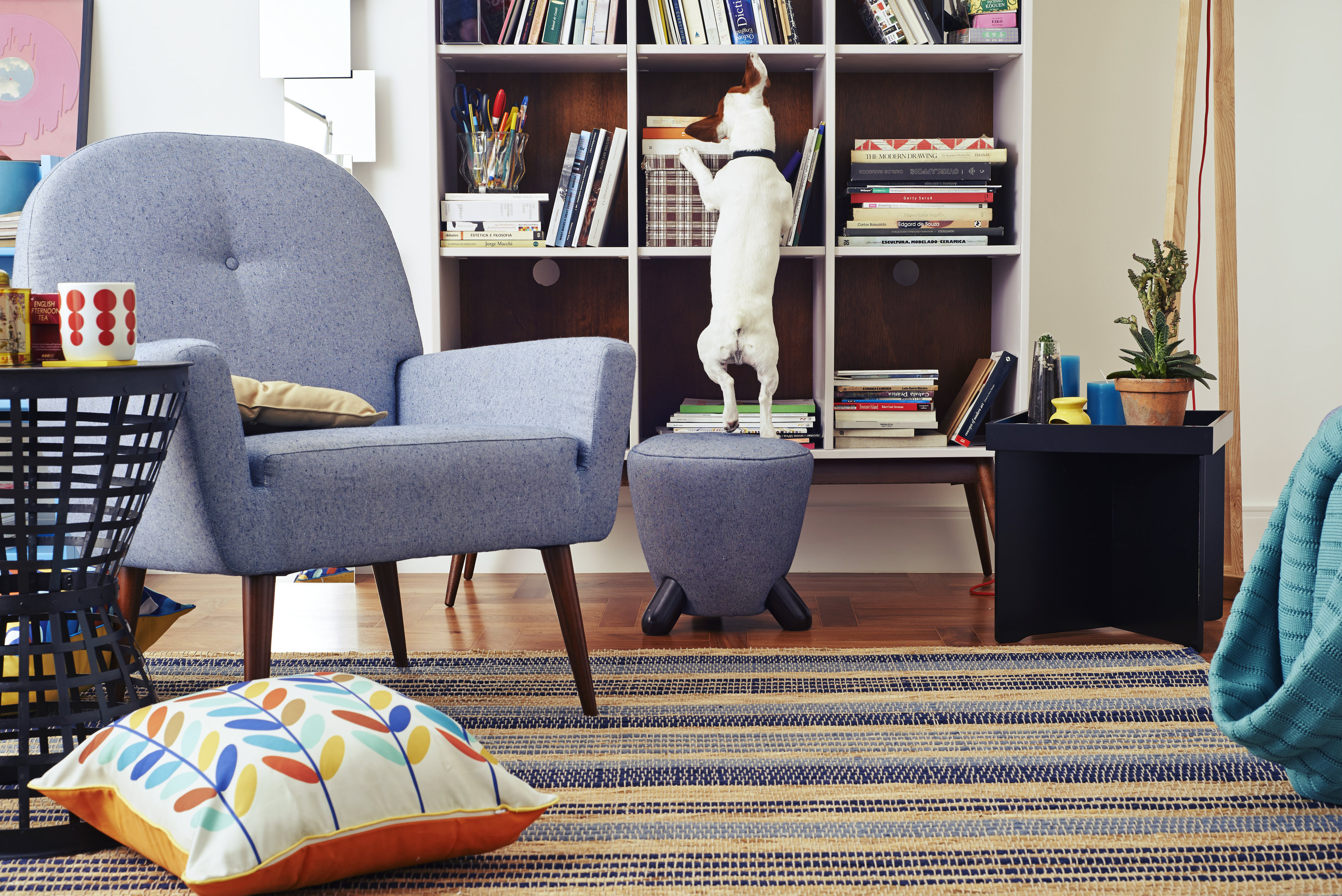 Materiais e Acabamentos de Poltronas: Veludo