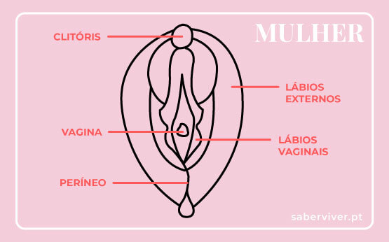5 ideias de títulos para posts sobre sexo oral:
1. Desvendando o Sexo Oral: Técnicas e Posições para Maximizar o Prazer
2. Sexo Oral para Iniciantes: Um Guia Completo para Explorar Novas Sensações
3. Além do Básico: Posições Inovadoras de Sexo Oral que Vão Surpreender seu Parceiro(a)
4. Higiene e Segurança no Sexo Oral: Dicas Essenciais para uma Experiência Saudável
5. O Poder do Sexo Oral: Como Ele Pode Transformar sua Vida Sexual
