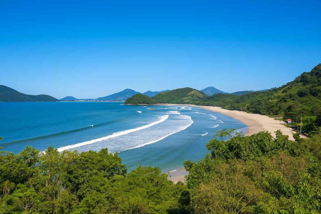 1. Guia Completo das Praias de Ubatuba para Surfistas
2. Como Escolher a Melhor Escola de Surf em Ubatuba
3. Ubatuba: Onde o Surfe Encontra a Natureza
4. Dicas Essenciais para Surfistas Iniciantes em Ubatuba
5. Eventos de Surfe Imperdíveis em Ubatuba