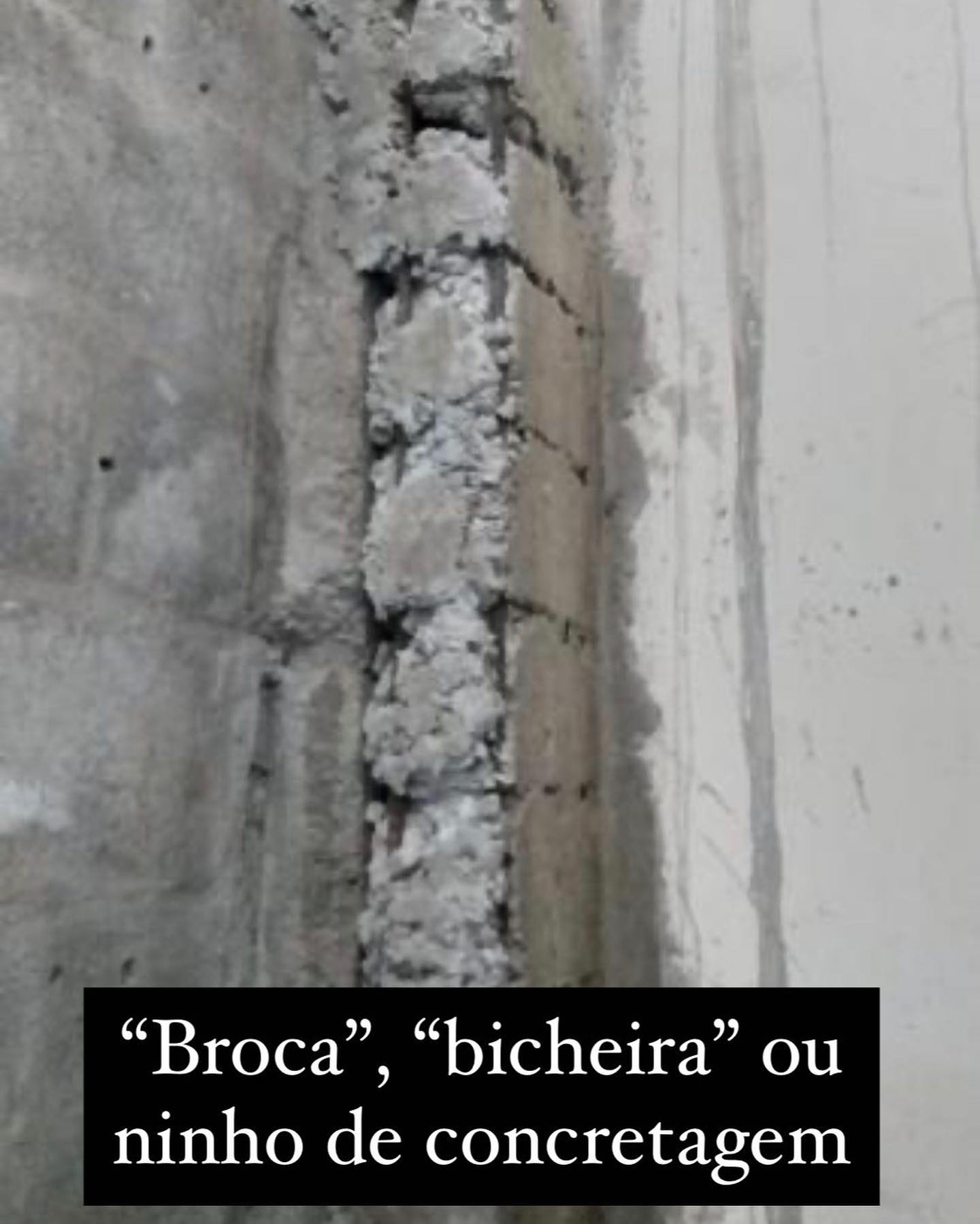 dicas para consertar bicheira concreto corretamente