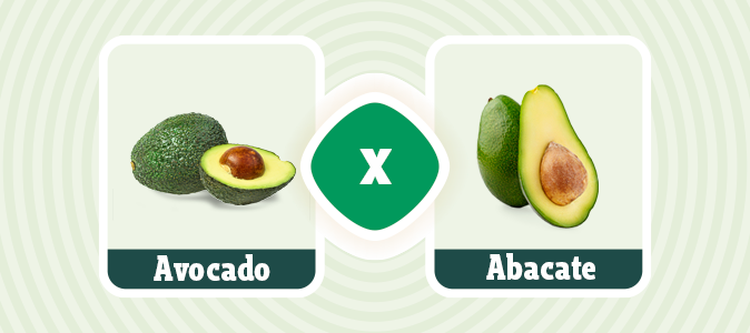 Abacate na Dieta: Mitos e Verdades sobre o Emagrecimento