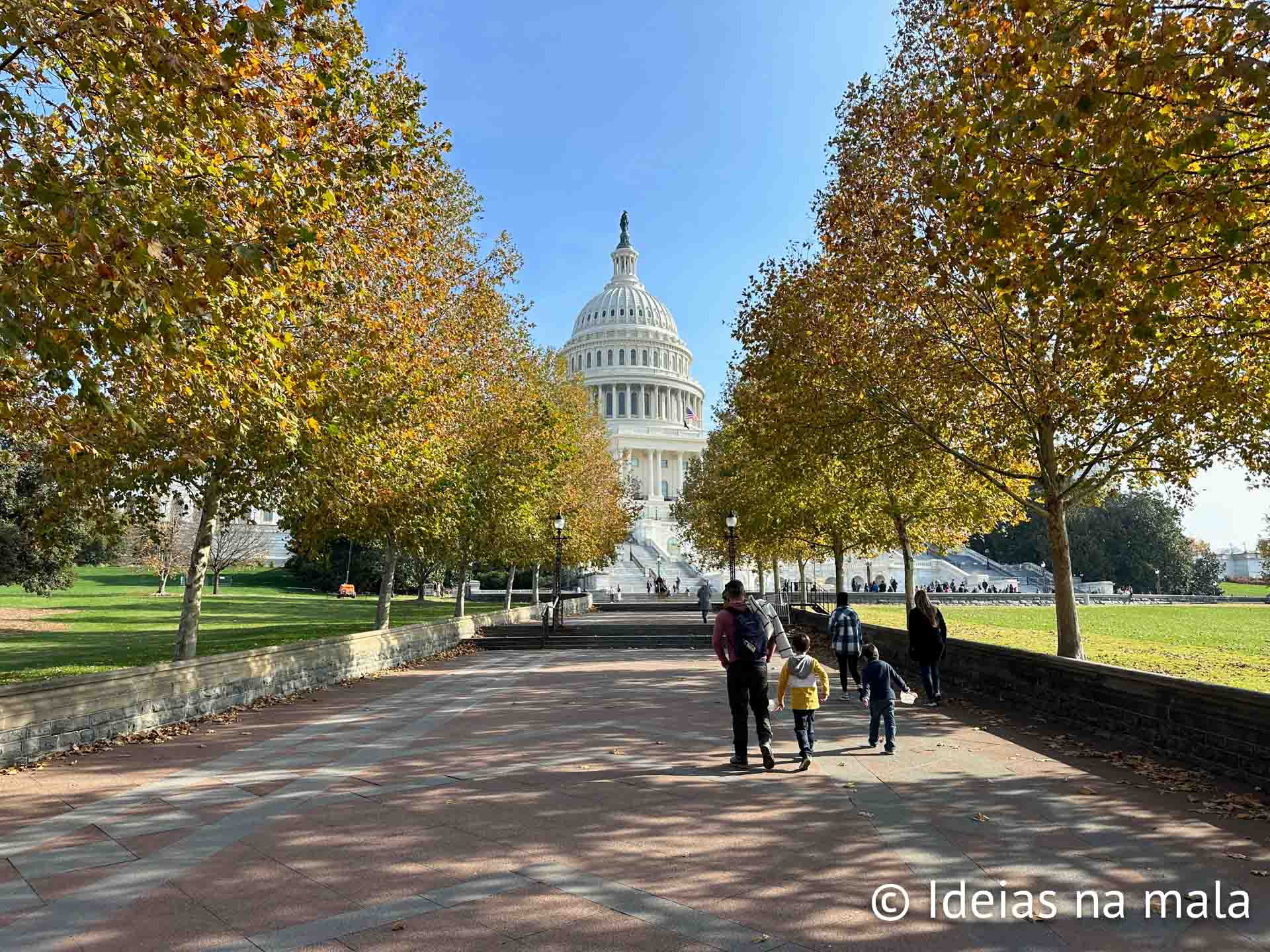 Expressões e Curiosidades.
3. 