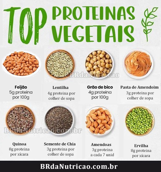 quais são as proteínas vegetais