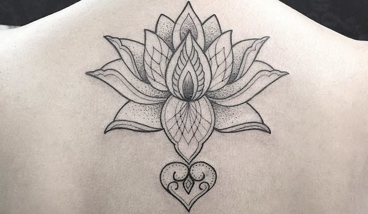 As cores da flor de lótus: Escolha a que melhor representa sua jornada espiritual