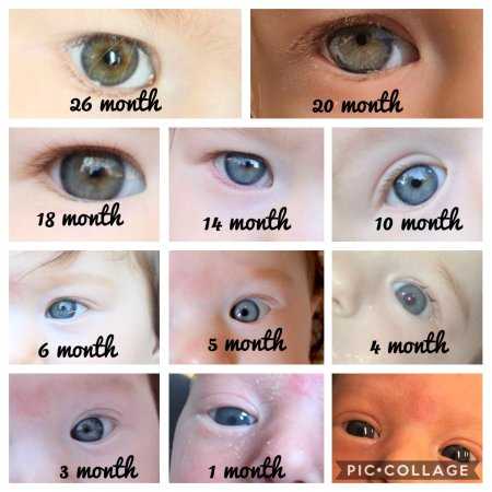 O que determina a cor dos olhos do meu bebê?