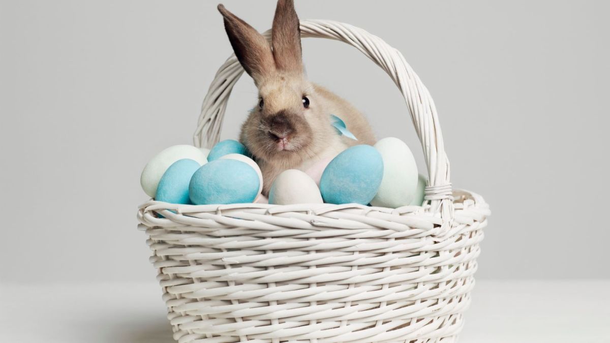 Dicas de Viagem para o Feriado de Páscoa 2026