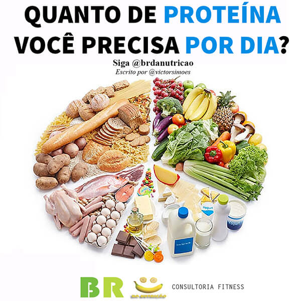 quantidade de proteina por dia para emagrecer
