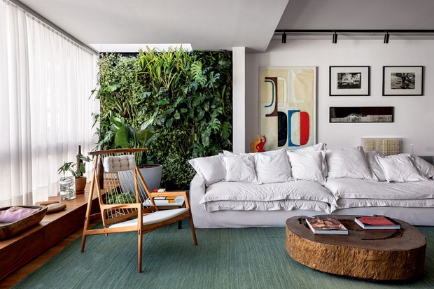 ideias decoração biofilia barata 2026