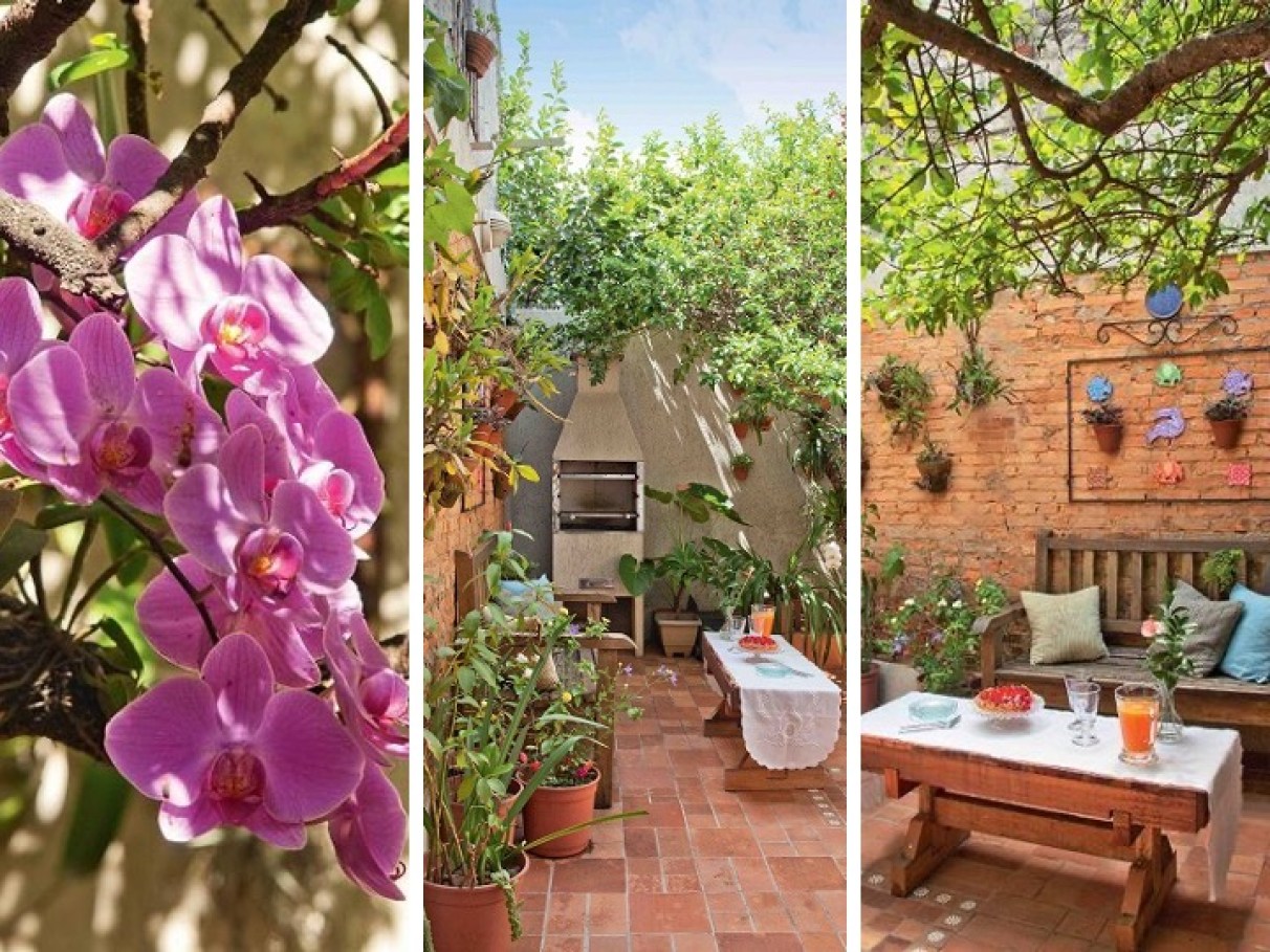 ideias de jardim mediterrâneo pequeno e barato