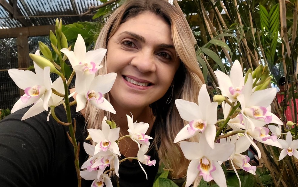 Como plantar orquídeas em troncos e madeiras: Dicas essenciais