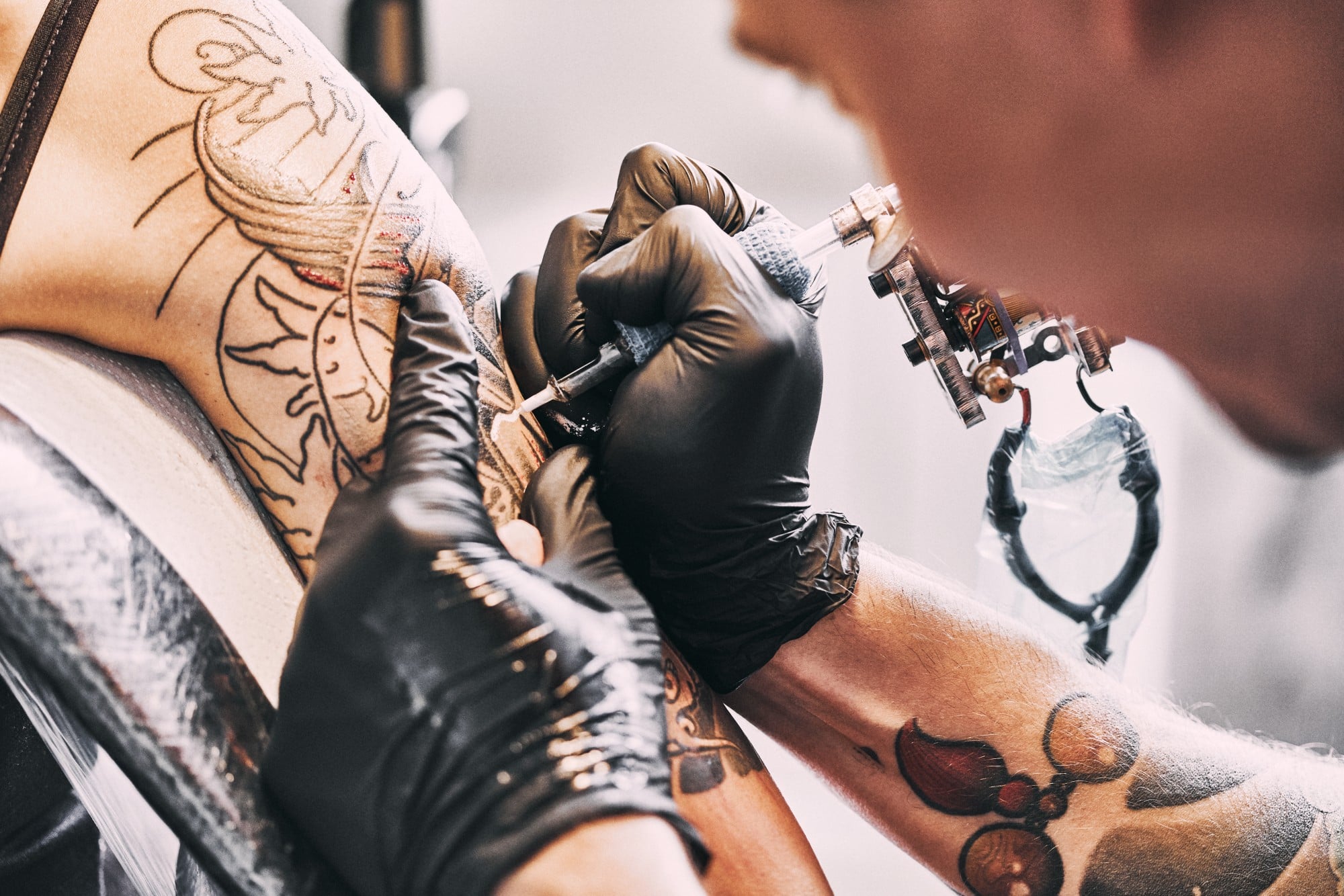 comer ovo após tatuagem