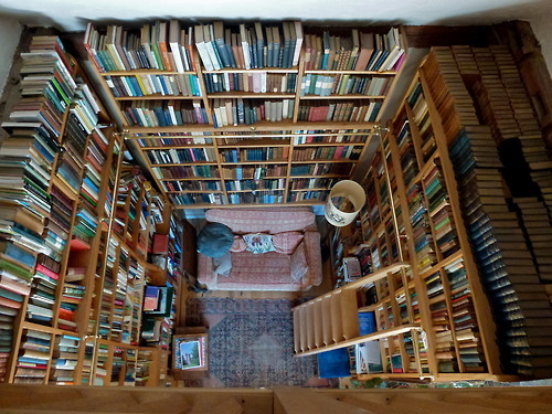 Tecnologia e Acessibilidade: O Futuro das Bibliotecas Públicas