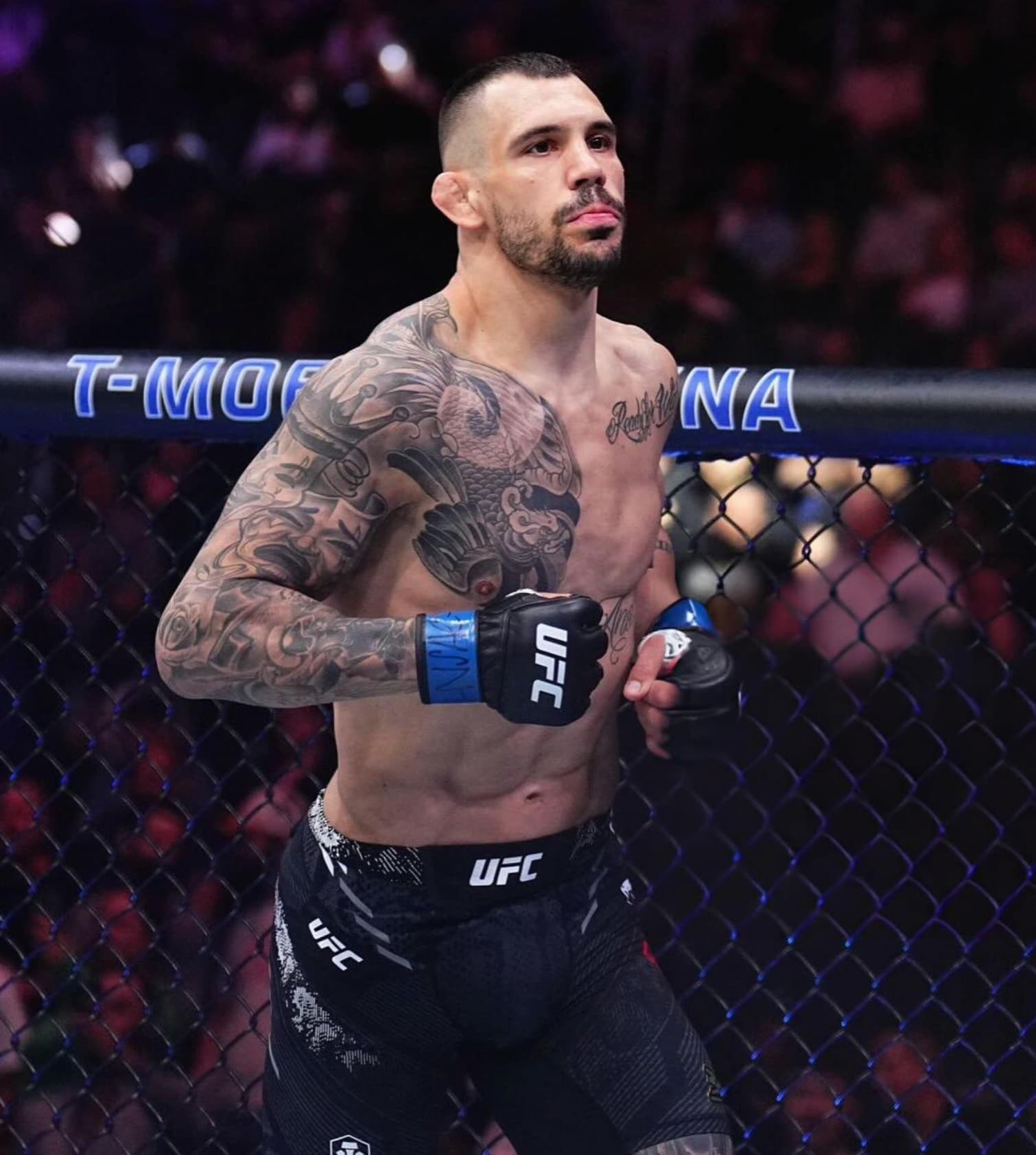 Guia Completo das Formas de Vitória no MMA: KO