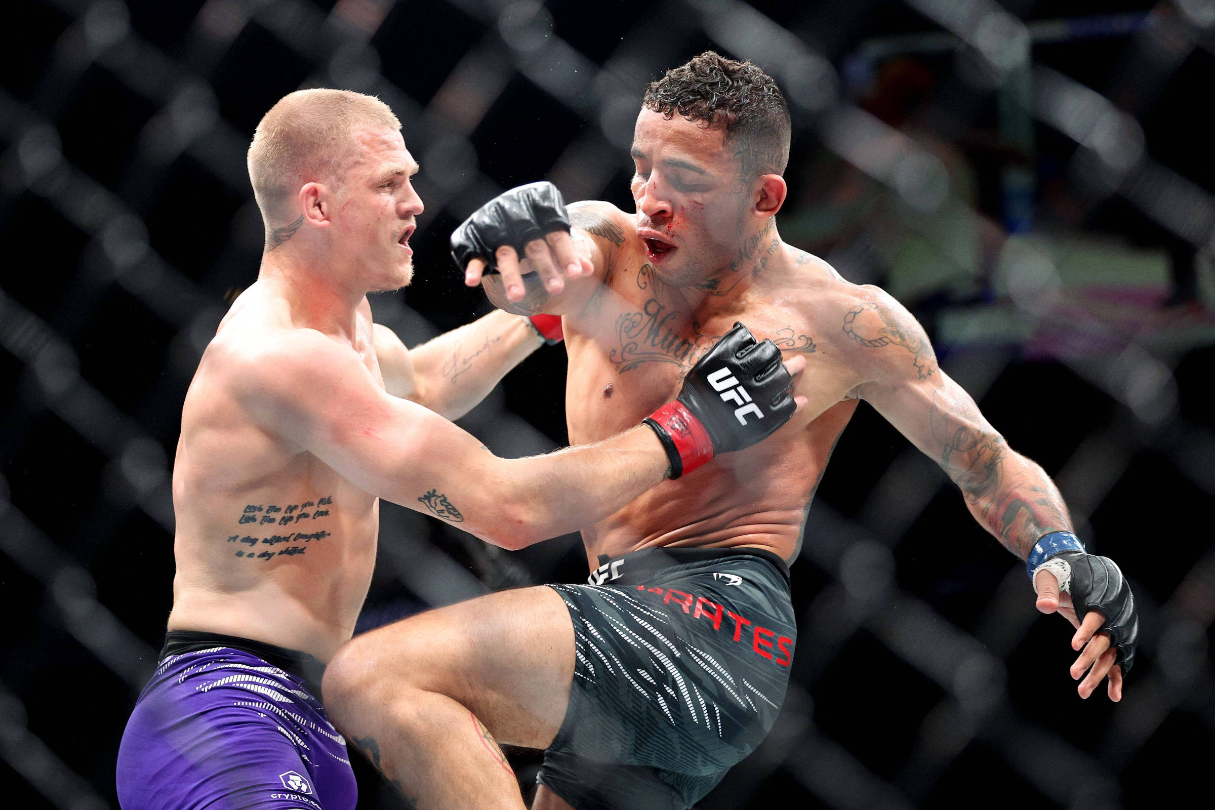 Proteções e o Que é Proibido no Octógono