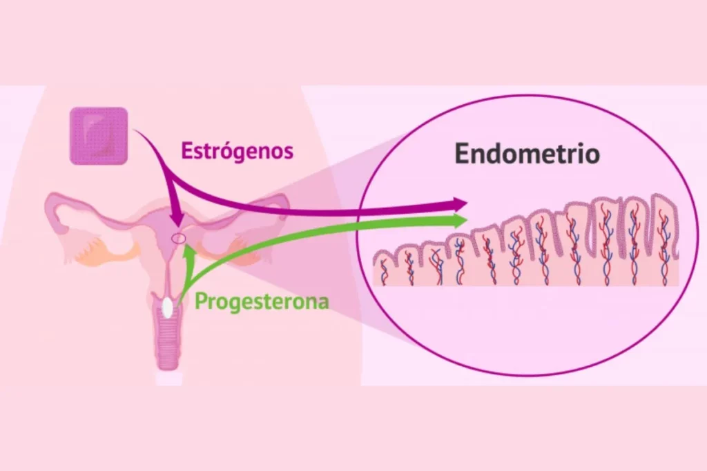 Como a Reposição Hormonal Pode Melhorar sua Libido e Bem-Estar Sexual