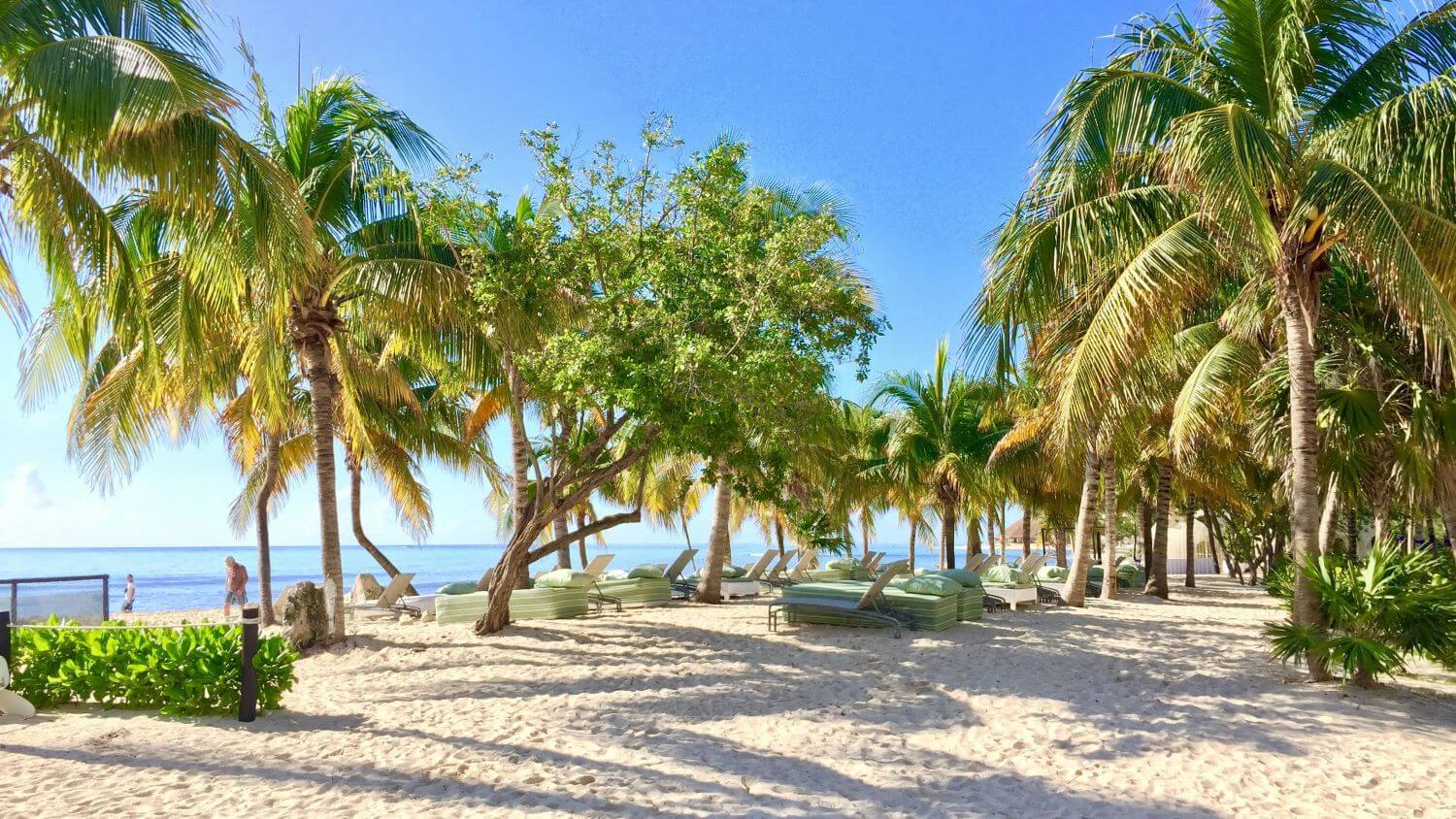 Xcaret vs Xel-Há: Qual Parque Escolher na sua Viagem?