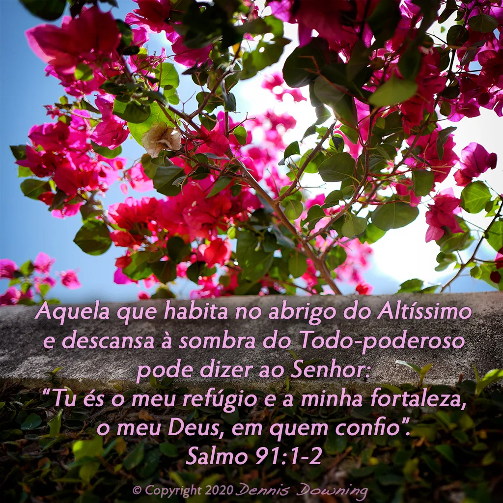 salmo de livramento