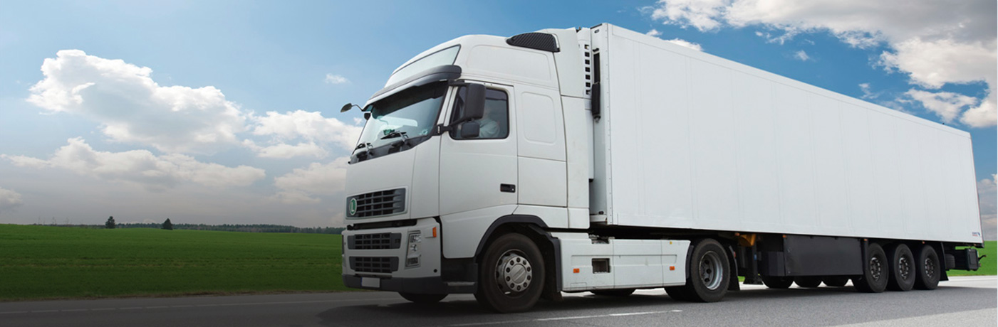 seguro de carga internacional rctr-vi