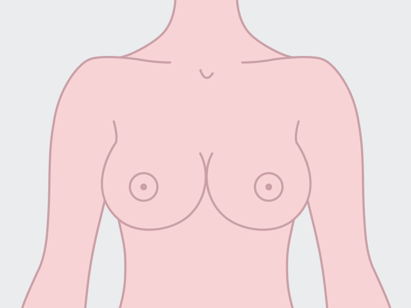 seios de mulher