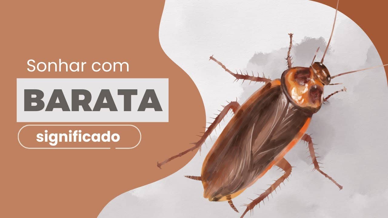 Medos e ansiedades: O que seus sonhos revelam