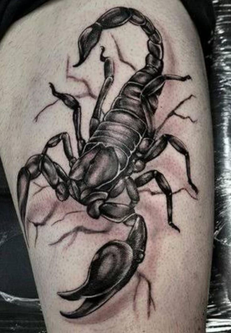 5 Ideias de Títulos:
1. Tatuagem de Escorpião: Desvendando os Significados Profundos
2. O Poder e o Perigo da Tatuagem de Escorpião: O Que Ela Realmente Representa?
3. Escorpião na Pele: Um Símbolo de Resiliência