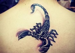 5 Ideias de Títulos para Posts sobre Tatuagem de Escorpião:
1. Tatuagem de Escorpião: Desvendando os Significados por Trás do Ferrão.
2. Do Perigo à Proteção: A Dualidade da Tatuagem de Escorpião.
3. Escorpião na Pele: Um Símbolo de Força