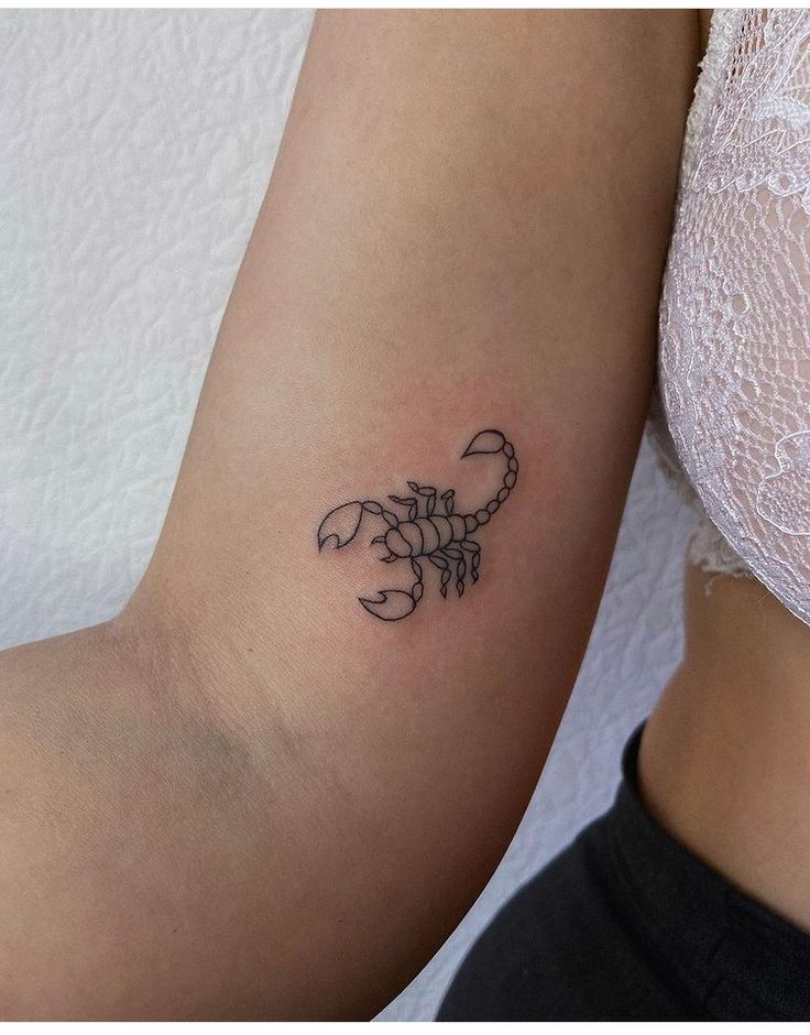 Renascimento e Paixão.
4. Estilos de Tatuagem de Escorpião: Do Realista ao Minimalista.
5. Tatuagem de Escorpião: O Que Ela Diz Sobre Você?