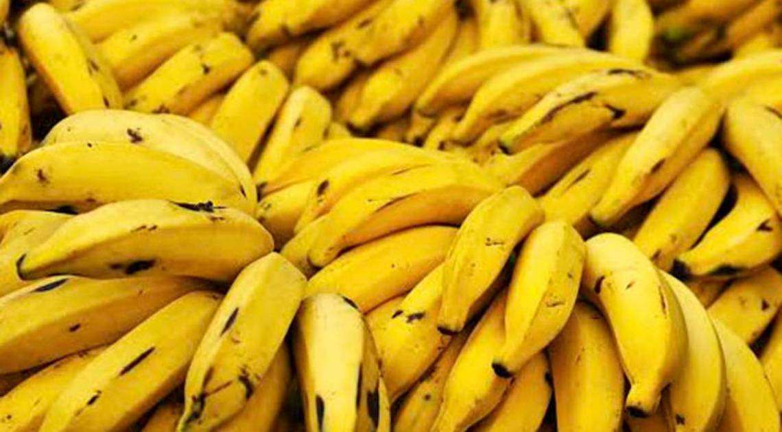 5 ideias de títulos