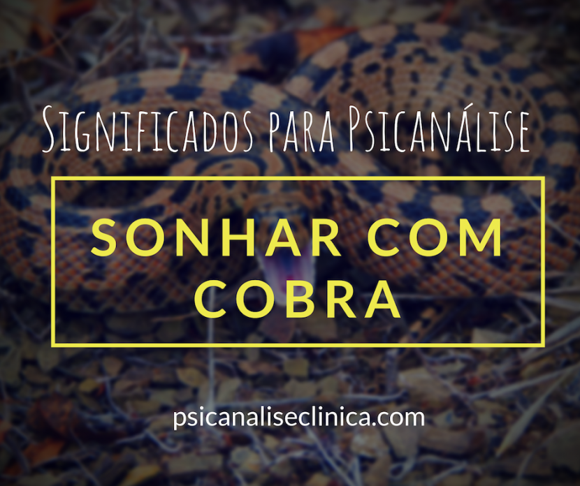 sonhar com 2 cobras brigando