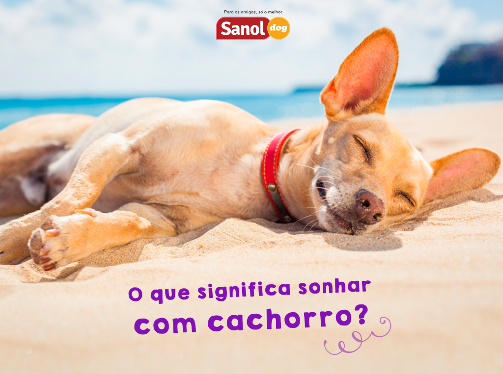 Sonhar com cachorros: Guia completo de interpretações