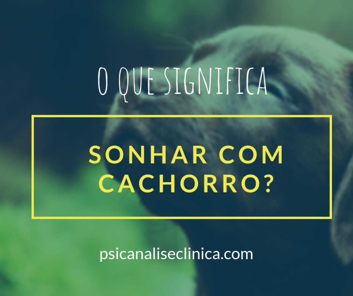 sonhar com 8 cachorros