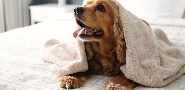 A simbologia do número 8 na interpretação dos sonhos